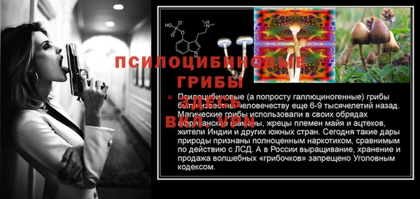 марки lsd Горнозаводск