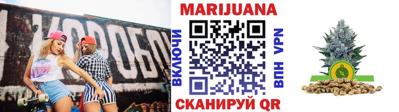 Конопля OG Kush  Майкоп 